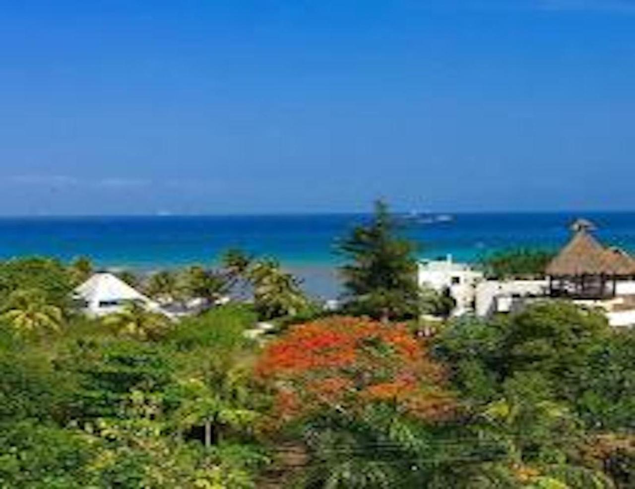 Acanto Hotel Playa Del Carmen, Trademark Collection By Wyndham Ngoại thất bức ảnh